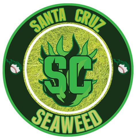 The Alchemical Wonders of Santa Cruz's Seaweed Magic